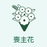 喪主花